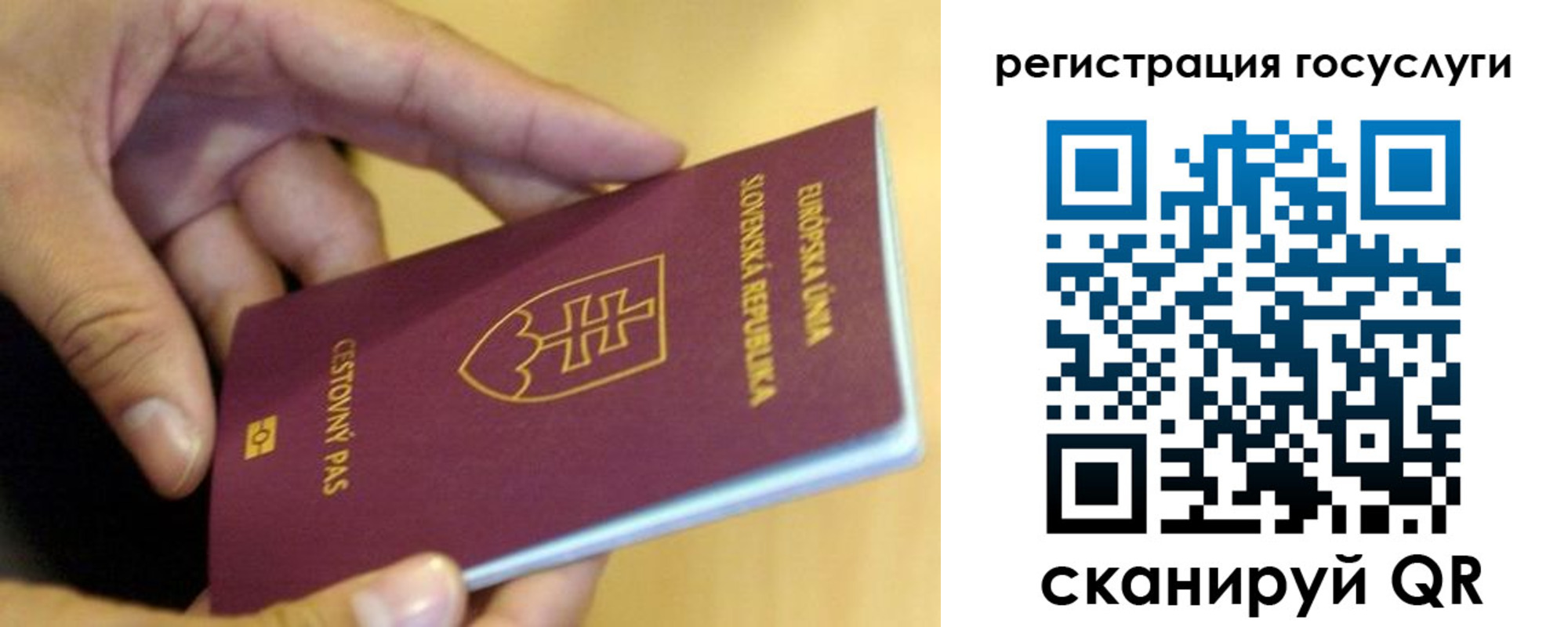 прописка в квартире в Брянске